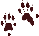 Footprints of Nigig